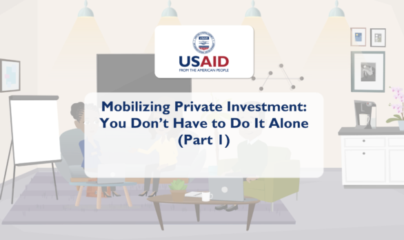 Mobilizing Private Investment: You Don't Have to Do It Alone